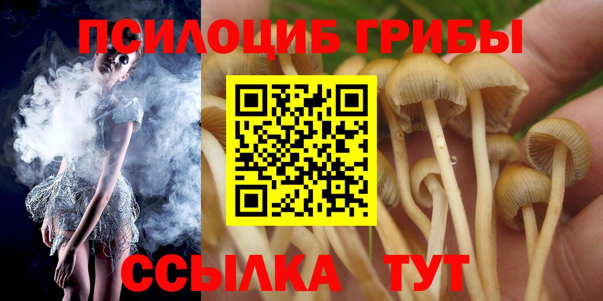 Псилоцибиновые грибы Psilocybe  где купить наркоту  Дербент  Вход с VPN  Галлюциногенные грибы прущие грибы 